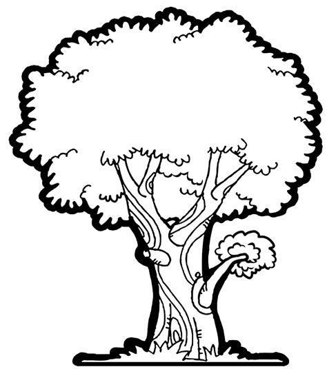 clipart tree drawing|More.